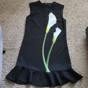 Victoria Beckham dress